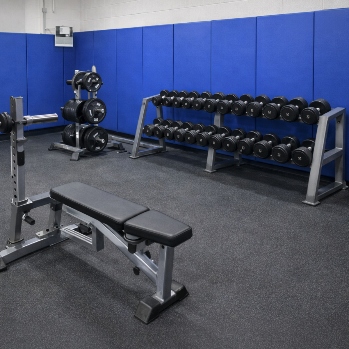 Gym Wall Pads